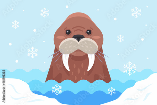 brown walrus swims among ice floes in antarctica. flat vector illustration.