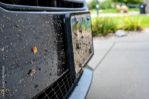 Selective focus on dead bugs splattered to the front grill and plates of a vehicle