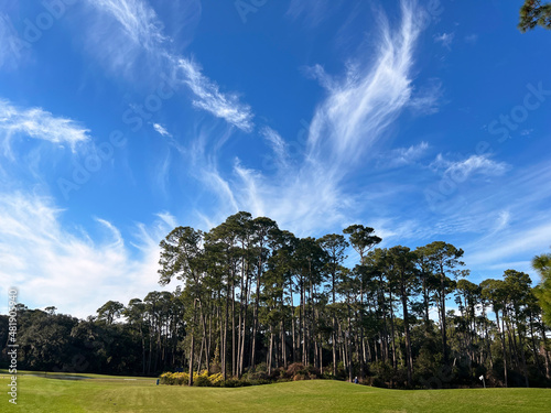 Golf course on Jekyll Island, Georgia, a popular slow travel destination in the southern United States. photo