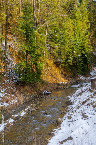 Mountain stream against forest in winter