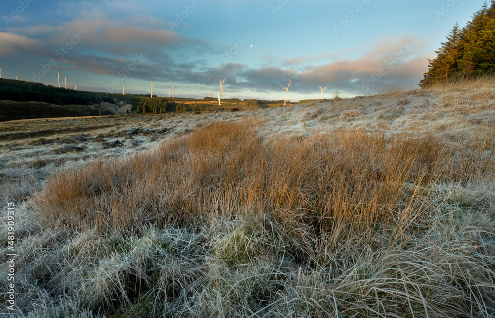 Fototapeta premium Turbines and the moon