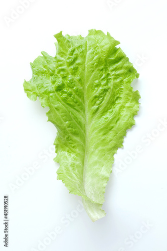 Fresh salad leaf isolated on white background