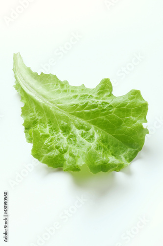 Fresh salad leaf isolated on white background