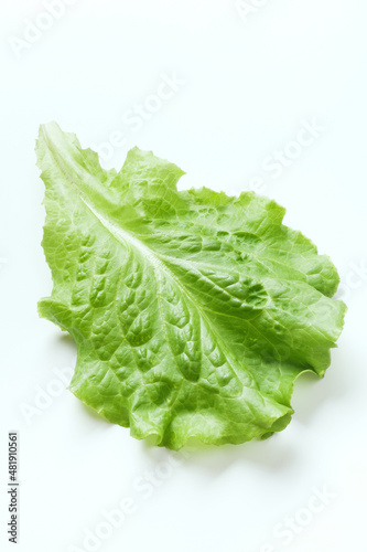 Fresh salad leaf isolated on white background