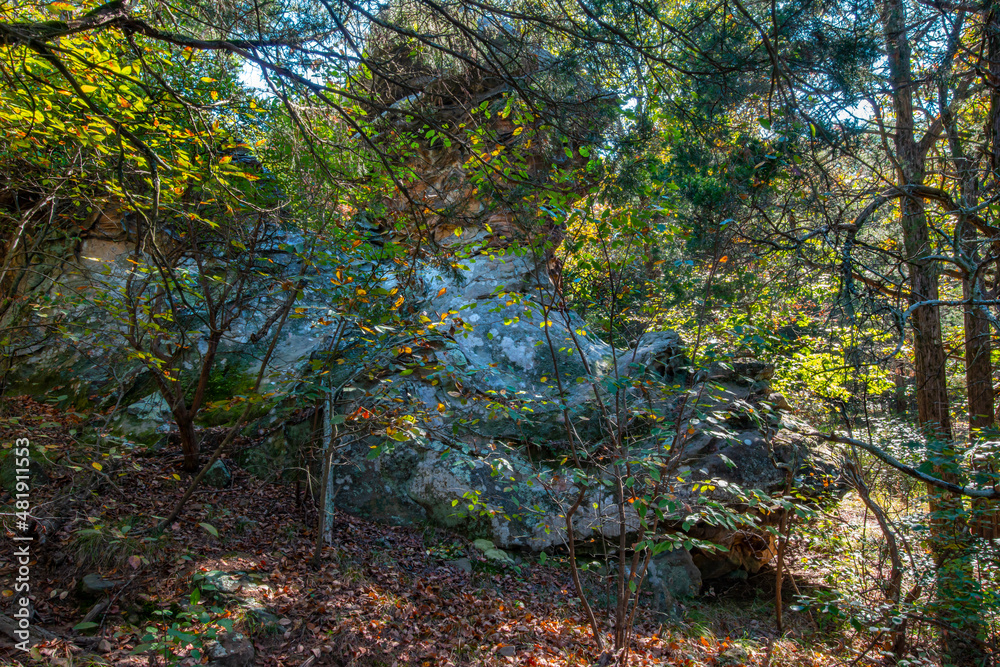 weathered, lichen covered boulder shaded beneath an Autumn forest canopy in Shawnee National Forest Illinois