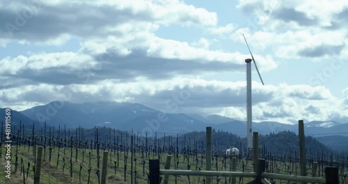 A vineyard in Applegate Valley Oregon in spring with mountains visible in the background on a cloudy day photo