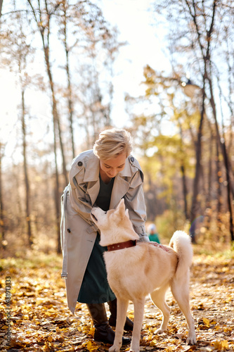 attractive caucasian lady playing stroking the dog, in autumn park or forest. lifestyle concept. adult woman with short blonde hair walking with akita inu, among bright yellow leaves