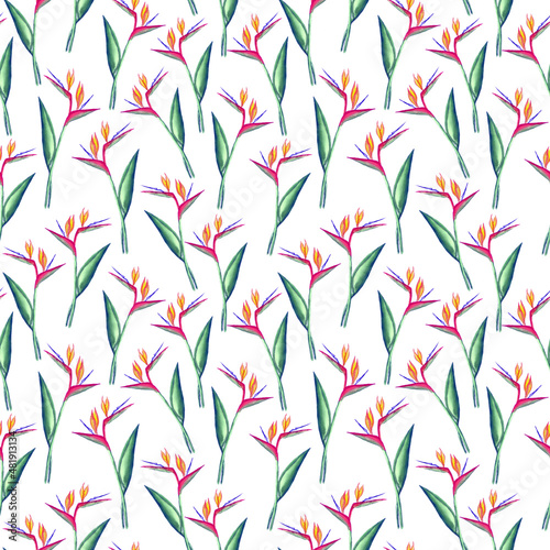 Seamless strelitzia pattern. Strelitzia, bird of paradise, or crane lily. Design for textile, wallpapers, greeting cards, decoration.