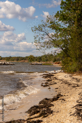patuxent river shore view on a windy day at jefferson patterson park in calvert county maryland photo