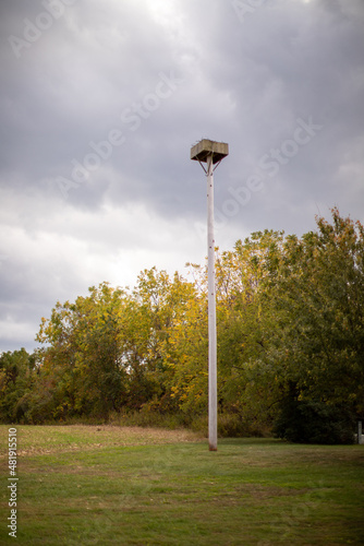 osprey nesting box at Jefferson patterson park and museum in calvert county southern maryland USA in early autumn 
