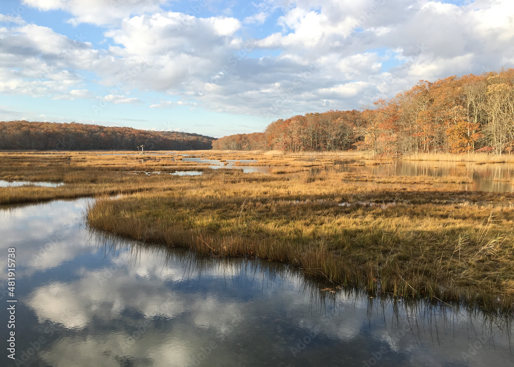 coastal marshland cloud reflections