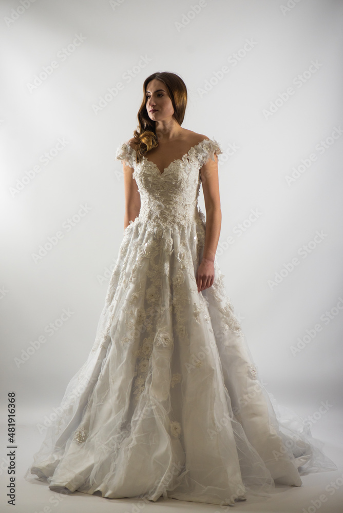 Beautiful bride in a magnificent white wedding dress of tulle with corset lacing and long beauty hair Beautiful bride in a magnificent white wedding dress of tulle with corset lacing and long beauty hair