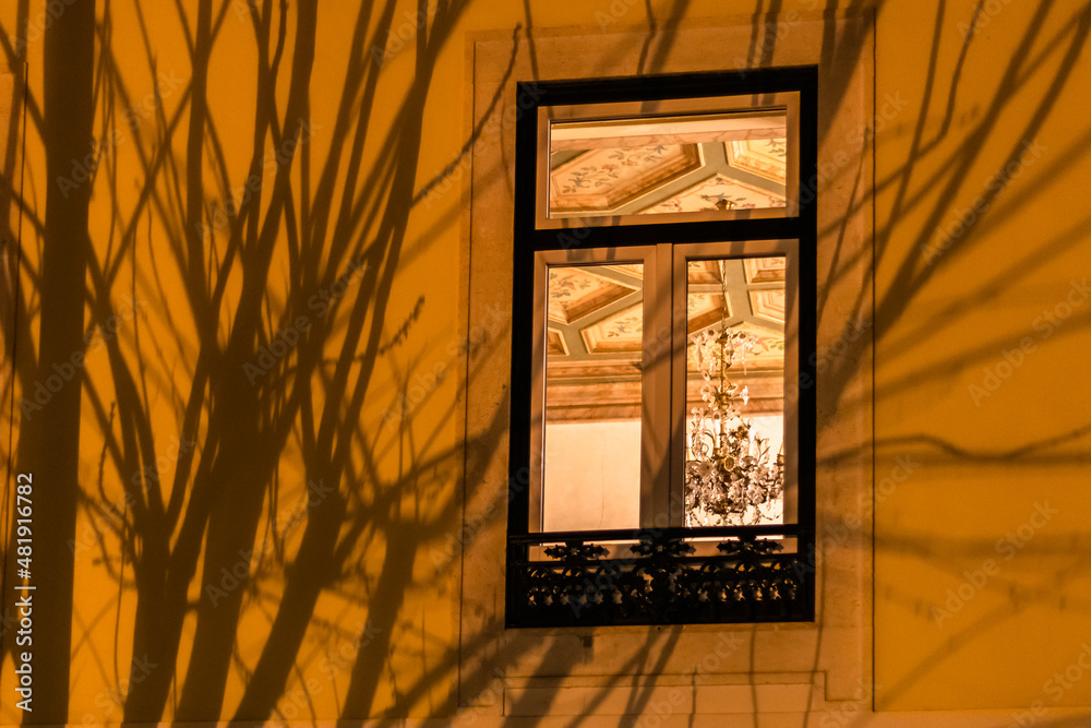 Shadows of tree branches in the architecture of the historic city center at night. Lisbon, Portugal. Shadows of tree branches in the architecture of the historic city center at night. Lisbon, Portugal.