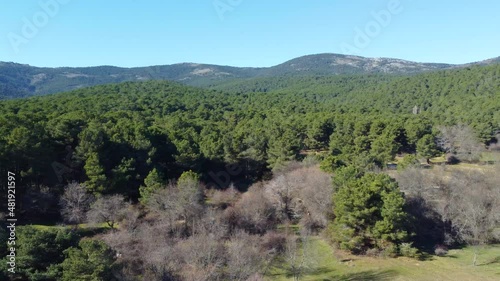 Nice aerial view of a pine forest located in the mountain range of guadarrama in Madrid, during a sunny day. Travel, concepts, 4k resolution