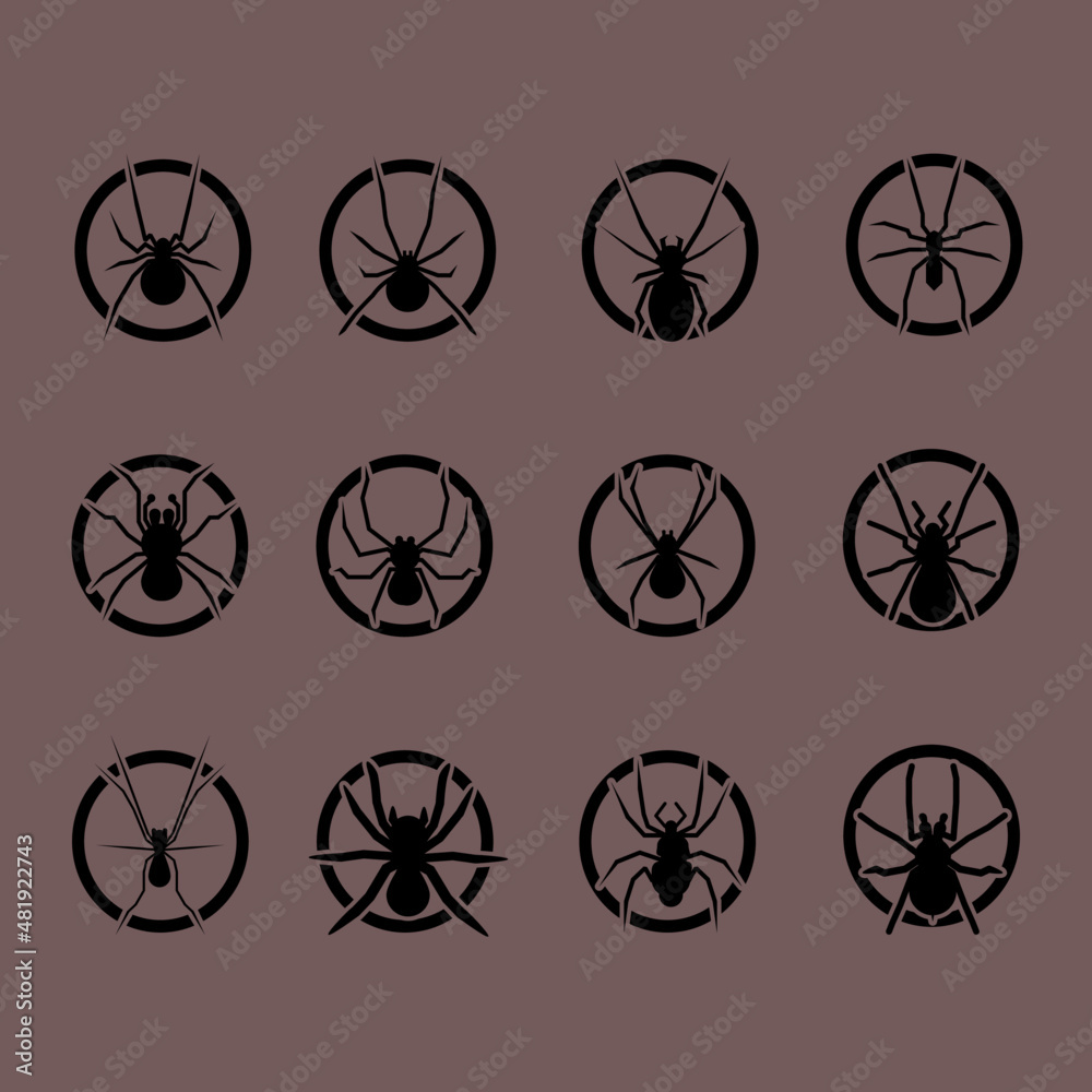 various of spider logo collection bundle