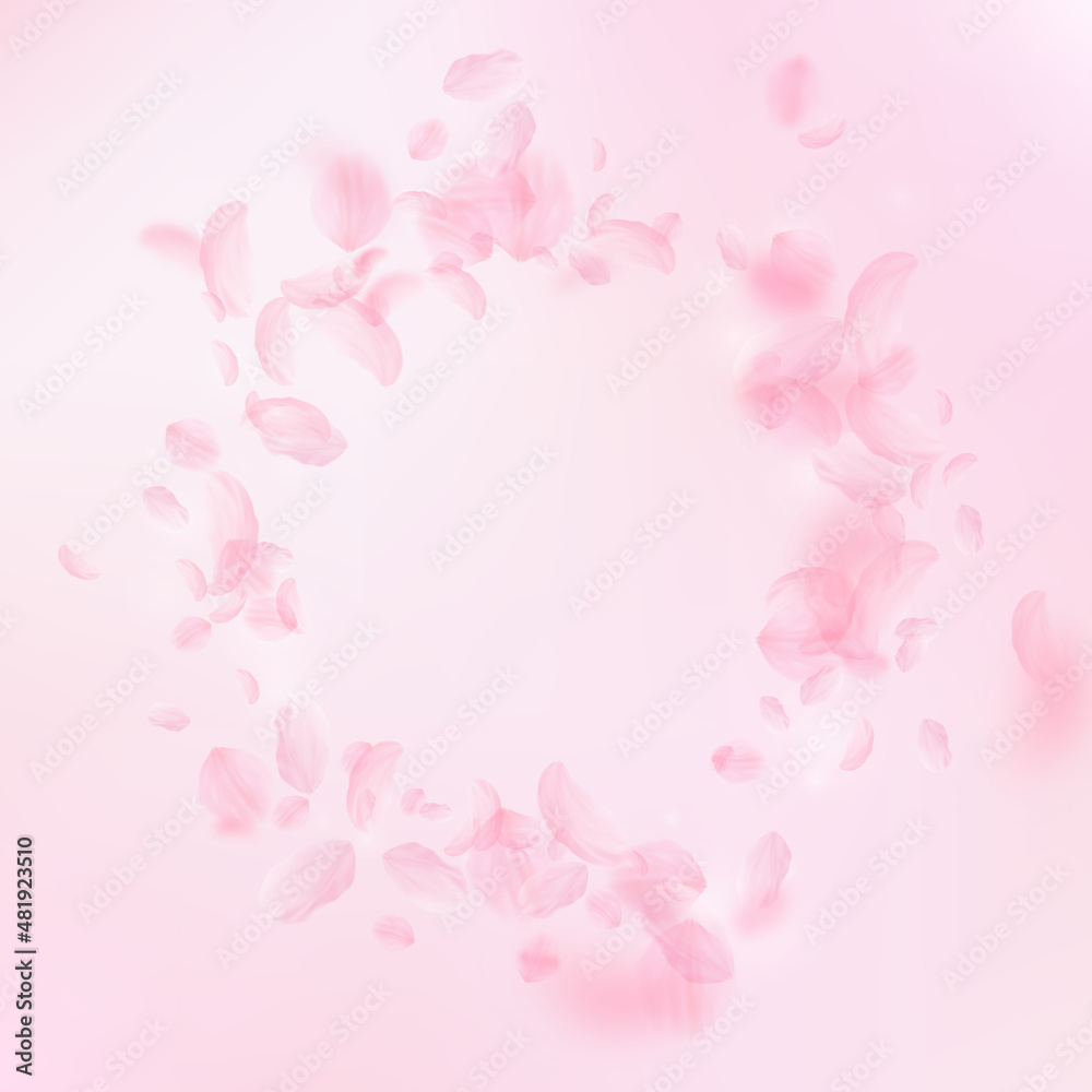 Sakura petals falling down. Romantic pink flowers vignette. Flying petals on pink square background. Love, romance concept. Fantastic wedding invitation.