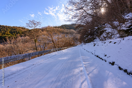 四国徳島の冬の真っ白な雪道