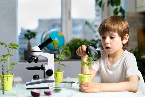 Little boy studies under the microscope plants, enthusiastically looks