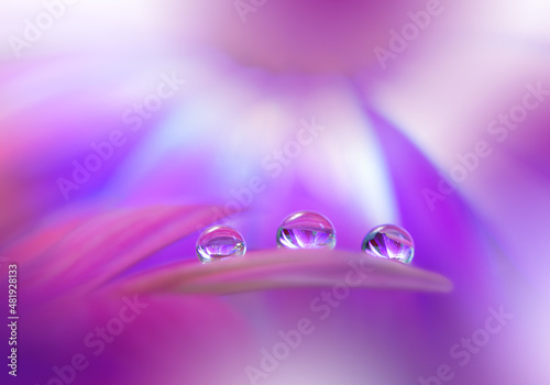 Beautiful Macro Photo.Dream Flowers.Border Art Design.Magic Light.Close up Photography.Conceptual Abstract Image.White and Violet Background.Fantasy Floral Art.Creative Wallpaper.Beautiful Nature.