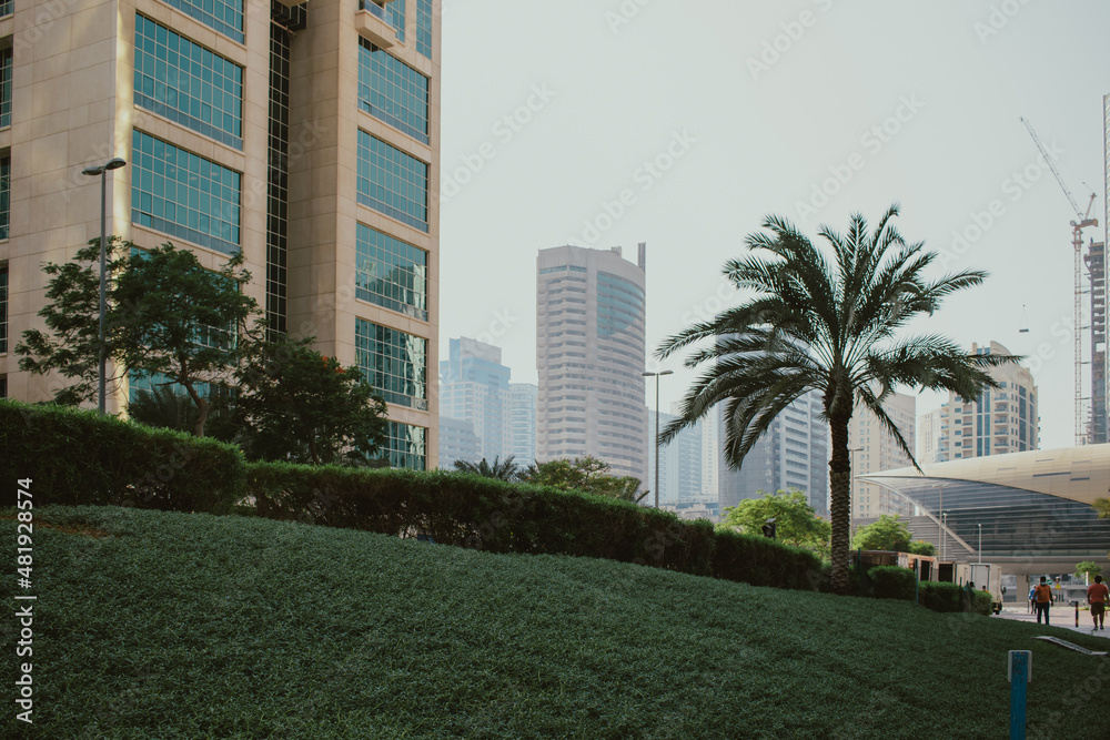 Daytime skyline of modern skyscrapers buildings property with park area and trees Daytime skyline of modern skyscrapers buildings property with park area and trees