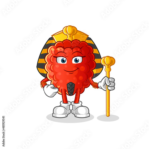 raspberry ancient egypt cartoon. cartoon mascot vector