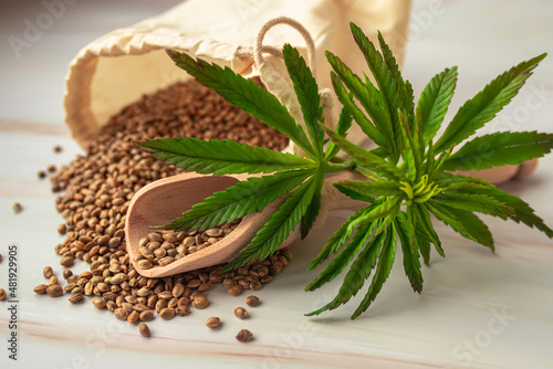 Still-Life Selection of CBD products. Hemp seeds  ingredients for vegan supplements  concept of growing cannabis for medical and cosmetic purposes. Marijuana in the food industry.