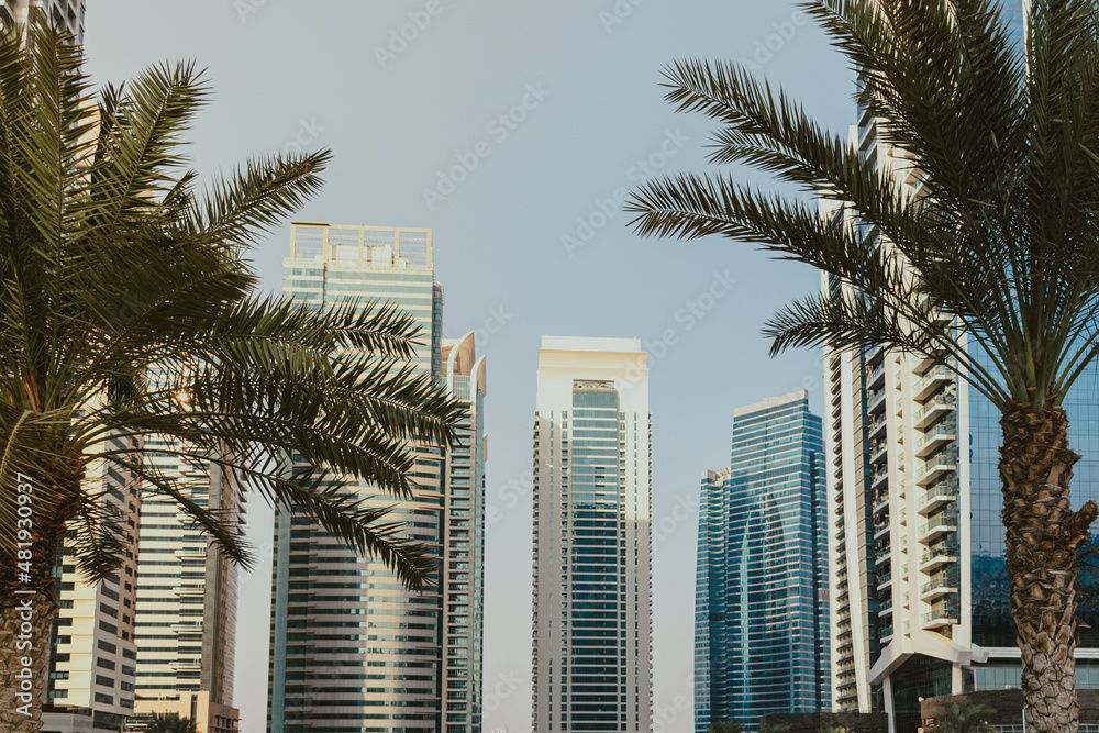 Daytime modern city view with skyscrapers business towers and residential buildings with blue sky and palm trees