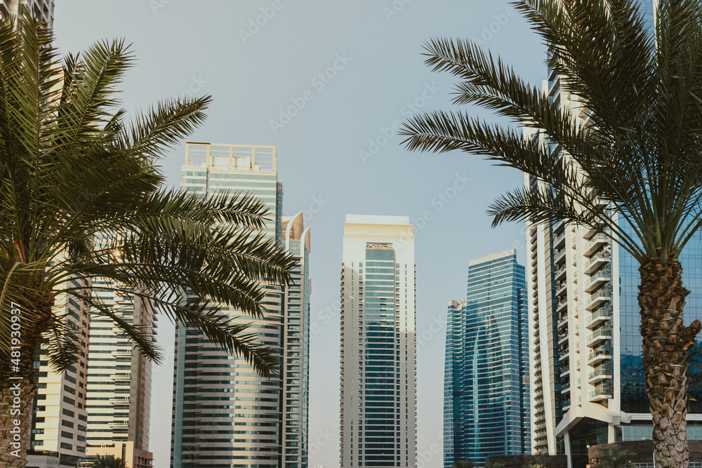 Fototapeta premium Daytime modern city view with skyscrapers business towers and residential buildings with blue sky and palm trees
