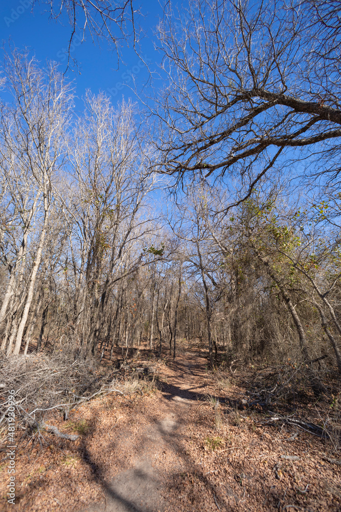 Brownwood Texas, Riverside park, walking trial during winter season. Brownwood Texas, Riverside park, walking trial during winter season.