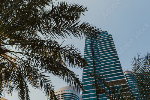 Daytime modern skyscraper business tower and residential building with blue sky and palm tree © Kate Trysh