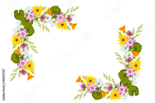 Floral background. Wildflowers isolated on a white background. Bouquet of flowers.