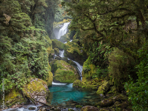 Mackay Falls Milford Track photo