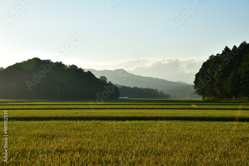 日本の田舎の風景