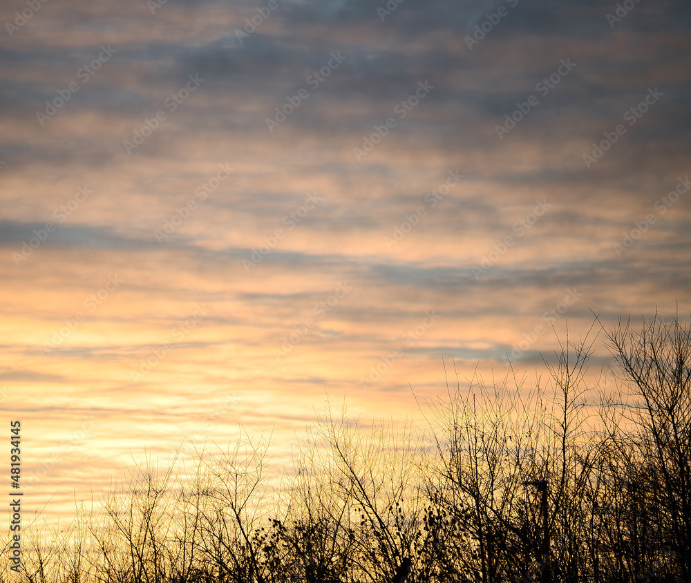 Fototapeta premium sunrise over the field