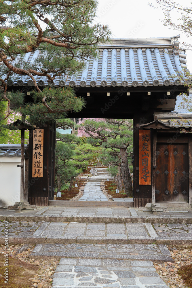 圓光寺の門 圓光寺の門