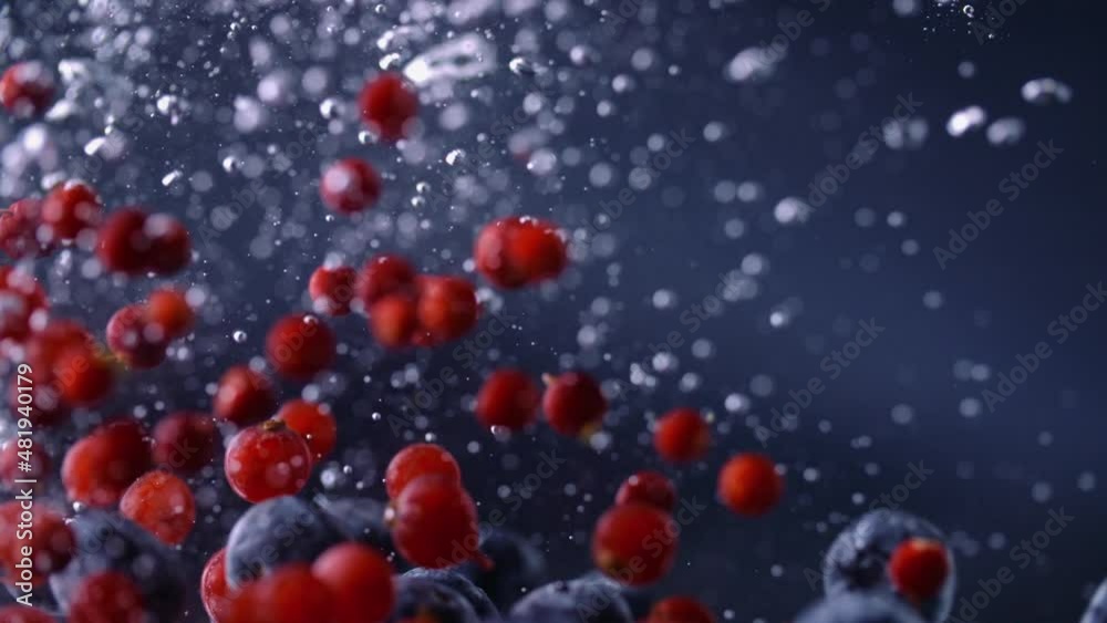 blue and red berries fall into the water in slow motion. blue and red berries fall into the water in slow motion.