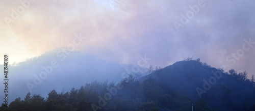 Wildfire in the forest near a resort town.Marmaris  Turkey. Summer 2021