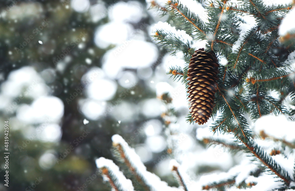 Beautiful forest winter landscape with snow and pine cones on fir tree used for christmas decoration
Beautiful forest winter landscape with snow and pine cones on fir tree used for christmas decoration