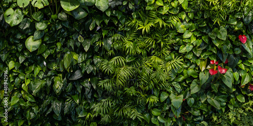 Fototapeta Naklejka Na Ścianę i Meble -  Green leaf texture. Leaf texture background