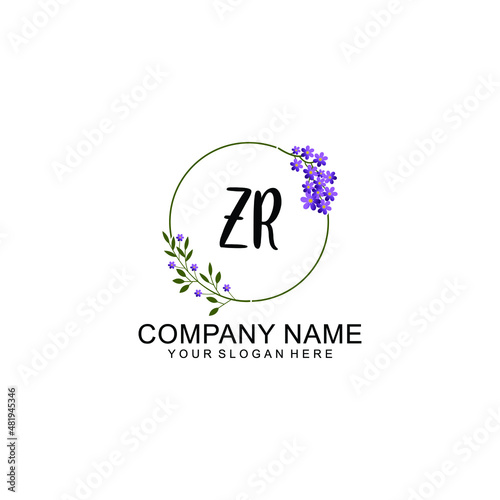 ZR Initial handwriting logo vector. Hand lettering for designs