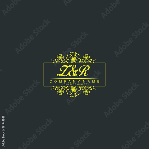 ZR Initial handwriting logo vector. Hand lettering for designs