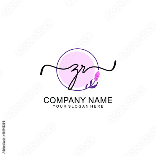 Initial ZR beauty monogram and elegant logo design  handwriting logo of initial signature