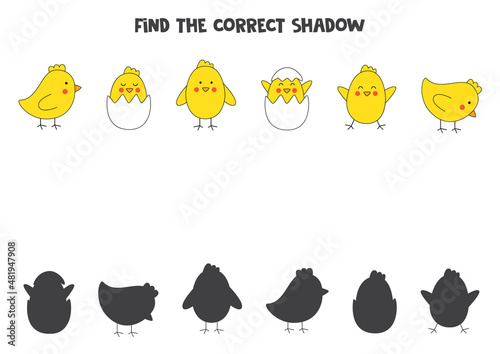 Find the correct shadows of cute Easter chickens. Logical puzzle for kids.