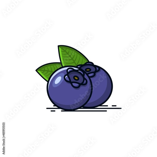 Set of two blue berries vector icon with green leaves