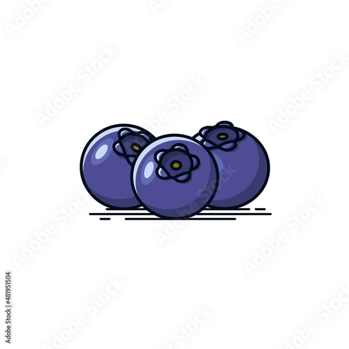 blueberries fruit vector icon illustration