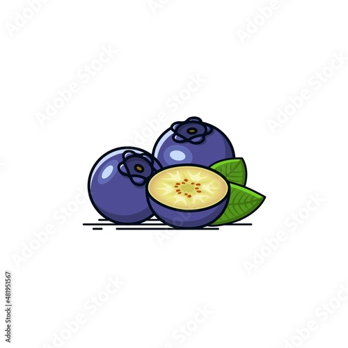 Vector icons of blueberries with half pieces of blueberries fruit 