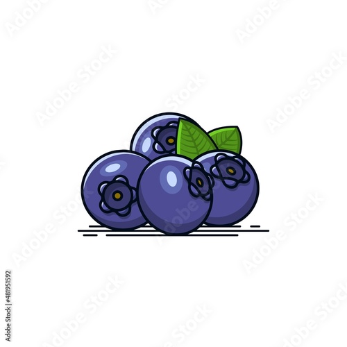 Set of blueberries fruit  vector icon illustration 