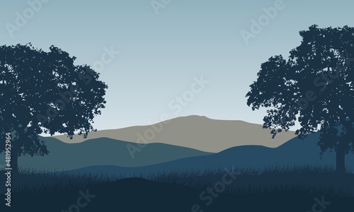 A fantastic mountain view with fir tree silhouettes from the edge of the city