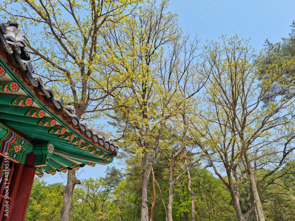 It is a forest park where you can see the end of the eaves. It is a forest park where you can see the end of the eaves.