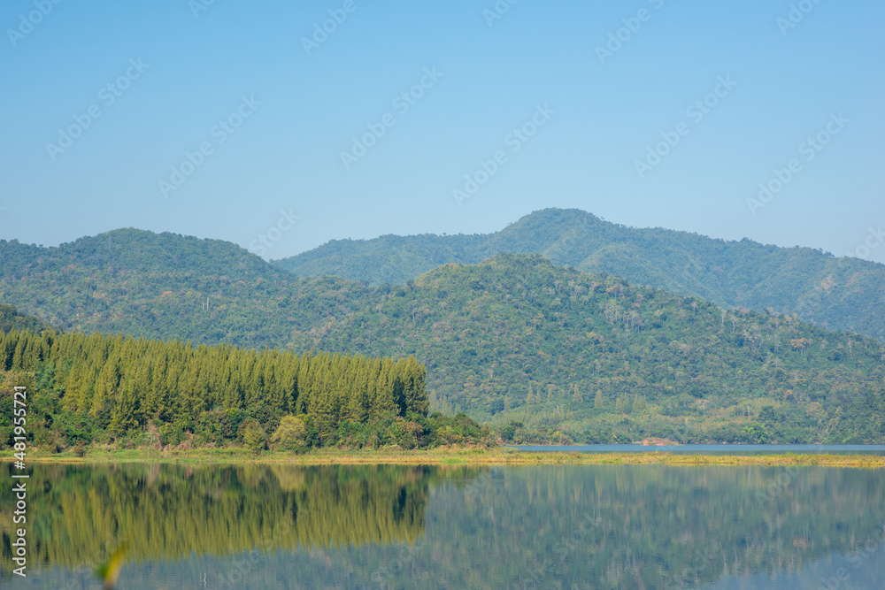 reflection of mountain pine forest and clear blue sky reflection of mountain pine forest and clear blue sky